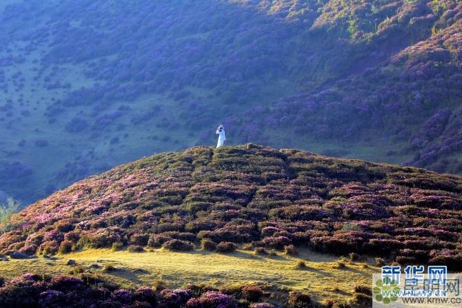 138042772_15572934714611n 138042772_15572934714611n