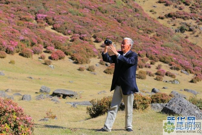 138042772_15572934719201n 138042772_15572934719201n