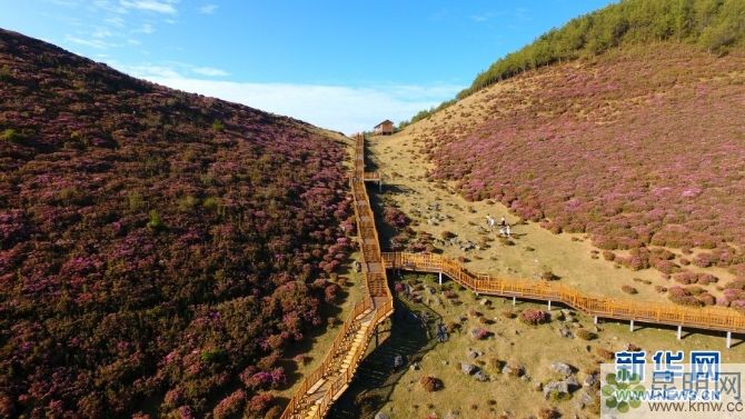 138042772_15572934716231n 138042772_15572934716231n