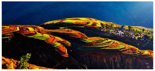 QQ截圖20200119171400 QQ截圖20200119171400