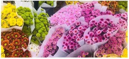 QQ截圖20200119174036 QQ截圖20200119174036